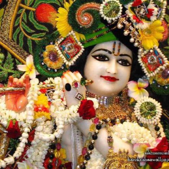 Meet your Posher, Charu - Picture 1 of 1